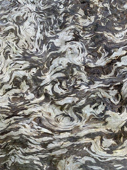 Image Only