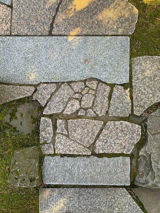 Image Only