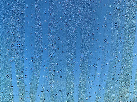 Image Only