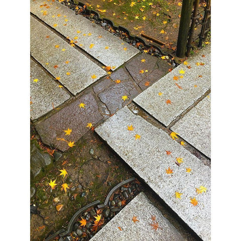 Japanese Stone Path I White Modern Wood Framed Art Print by Grayscale