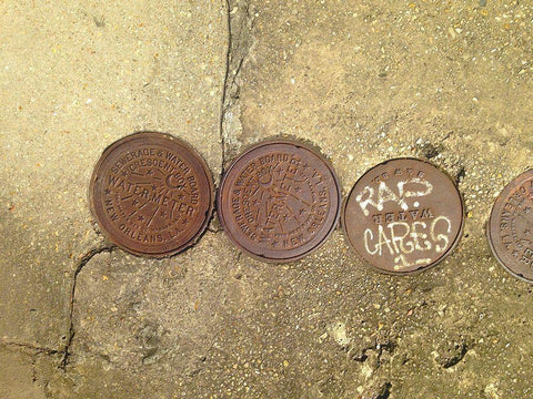 Water Cover IV Black Ornate Wood Framed Art Print with Double Matting by Grayscale