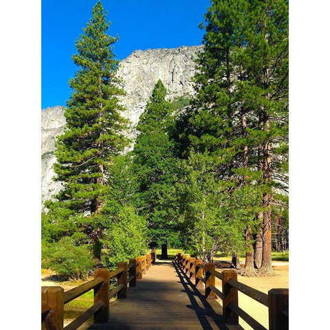 Yosemite Bridge I Black Modern Wood Framed Art Print by Grayscale