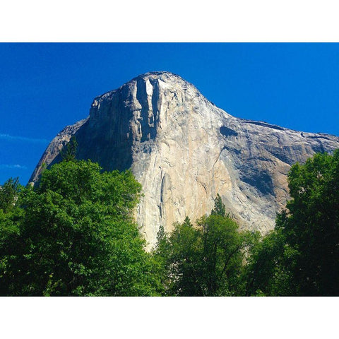 El Capitan I Gold Ornate Wood Framed Art Print with Double Matting by Grayscale