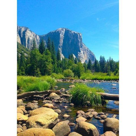 El Capitan II Gold Ornate Wood Framed Art Print with Double Matting by Grayscale