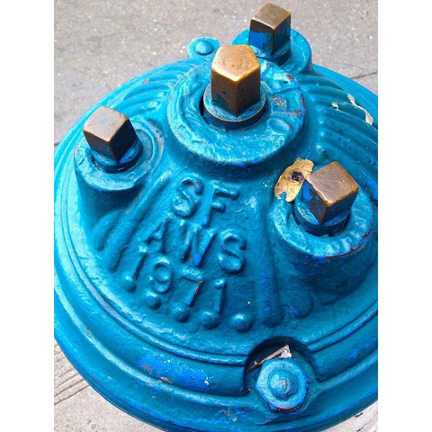 Blue Fire Hydrant I Gold Ornate Wood Framed Art Print with Double Matting by Grayscale