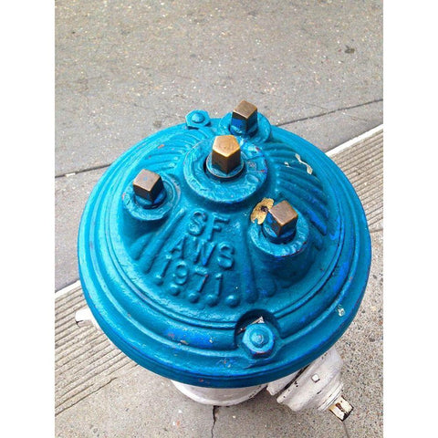 Blue Fire Hydrant II Black Modern Wood Framed Art Print by Grayscale