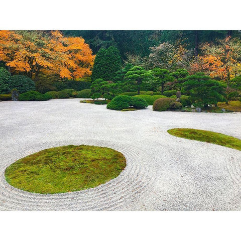 Zen Garden I Black Modern Wood Framed Art Print by Grayscale