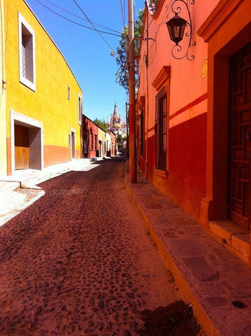 Old Street I Black Ornate Wood Framed Art Print with Double Matting by Grayscale