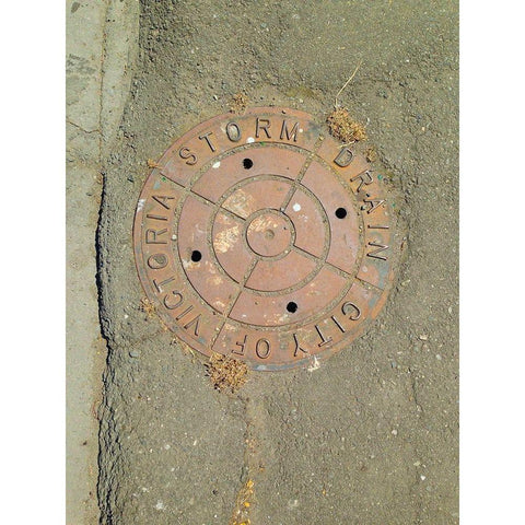 Utility Cover I Gold Ornate Wood Framed Art Print with Double Matting by Grayscale