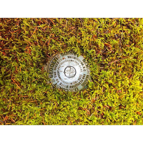 US Geodetic Survey Point I Gold Ornate Wood Framed Art Print with Double Matting by Grayscale