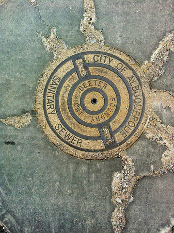 Utility Cover II Black Ornate Wood Framed Art Print with Double Matting by Grayscale