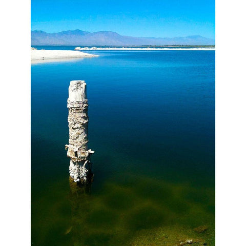 Salton Sea I White Modern Wood Framed Art Print by Grayscale