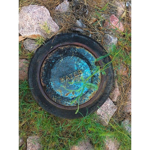 Water Cover V Gold Ornate Wood Framed Art Print with Double Matting by Grayscale