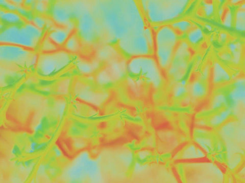 Confetti II White Modern Wood Framed Art Print with Double Matting by Popcorn