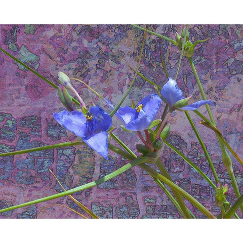 Tradescantia Gold Ornate Wood Framed Art Print with Double Matting by Popcorn