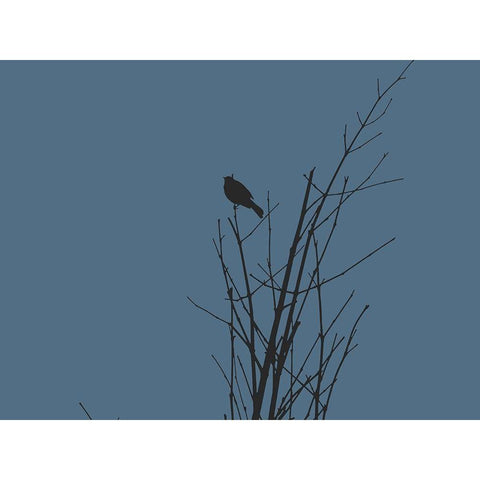 Bird Silhouette: Black/Blue Black Modern Wood Framed Art Print by Popcorn