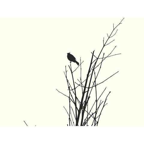 Bird Silhouette: BandW Black Modern Wood Framed Art Print by Popcorn