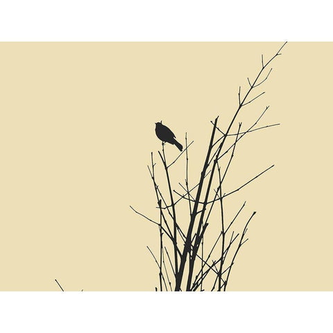Bird Silhouette: Black/Ivory Gold Ornate Wood Framed Art Print with Double Matting by Popcorn
