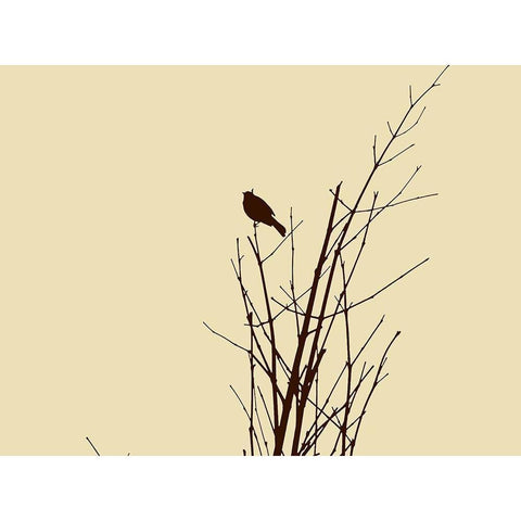 Bird Silhouette: Brown/Ivory Black Modern Wood Framed Art Print with Double Matting by Popcorn