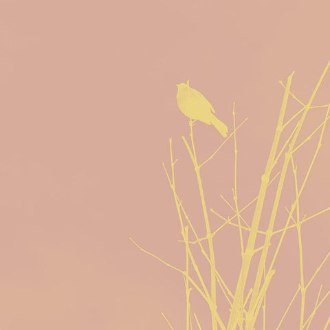 Bird Silhouette IX Black Modern Wood Framed Art Print by Popcorn