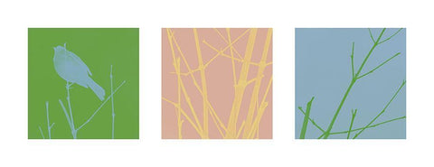 Bird Silhouette X Black Ornate Wood Framed Art Print with Double Matting by Popcorn