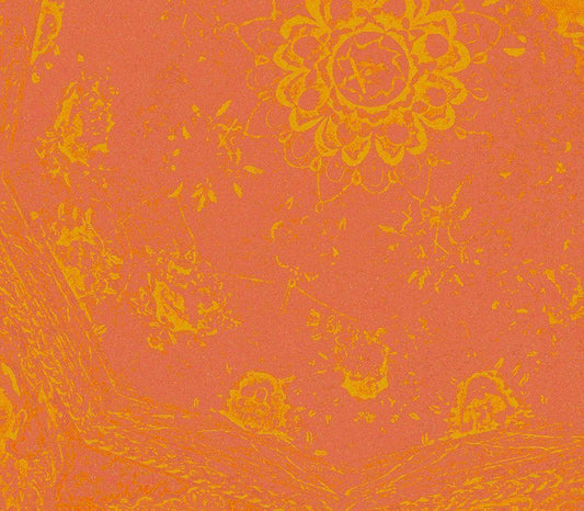Image Only