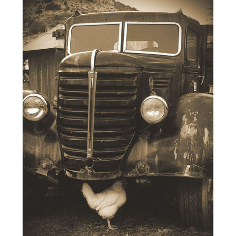 Bygone Chicken White Modern Wood Framed Art Print by Popcorn