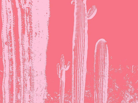 Desert Silhouette VI White Modern Wood Framed Art Print with Double Matting by Popcorn