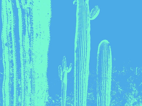 Desert Silhouette VII White Modern Wood Framed Art Print with Double Matting by Popcorn