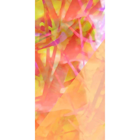 Wayfinder B Gold Ornate Wood Framed Art Print with Double Matting by Popcorn