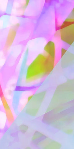 Wayfinder D Black Ornate Wood Framed Art Print with Double Matting by Popcorn