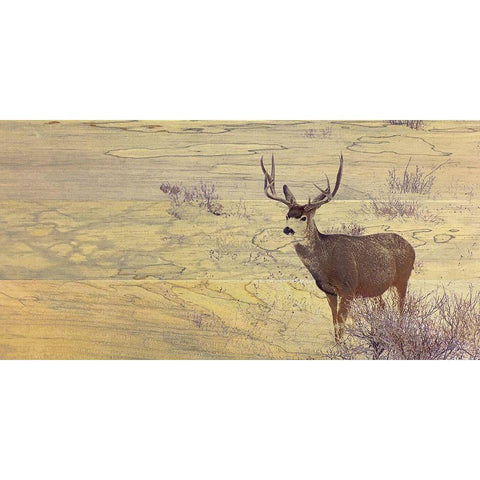 Deer Woodblock White Modern Wood Framed Art Print by Tenoever, William