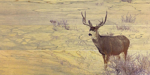 Deer Woodblock White Modern Wood Framed Art Print with Double Matting by Tenoever, William