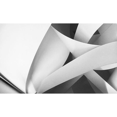 Intertwined I Black Modern Wood Framed Art Print with Double Matting by Tenoever, William