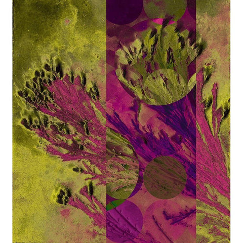 Desert Broom Abstract  Black Modern Wood Framed Art Print by Tenoever, William