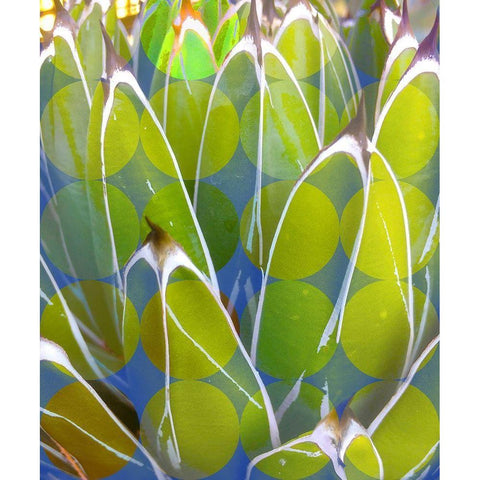 Moods Agave III Gold Ornate Wood Framed Art Print with Double Matting by Tenoever, William