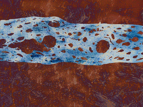 Cholla Stylized I White Modern Wood Framed Art Print with Double Matting by Tenoever, William