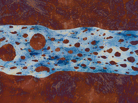 Cholla Stylized III White Modern Wood Framed Art Print with Double Matting by Tenoever, William