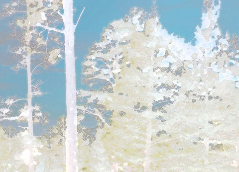 Cool Wood 3 Black Ornate Wood Framed Art Print with Double Matting by Tenoever, William