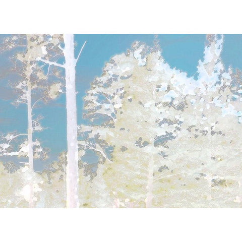 Cool Wood 3 Black Modern Wood Framed Art Print by Tenoever, William