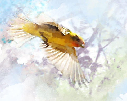 Oriole White Modern Wood Framed Art Print with Double Matting by Tenoever, William