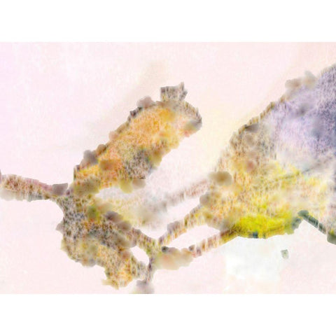 Dried Leaves 1 Black Modern Wood Framed Art Print by Tenoever, William