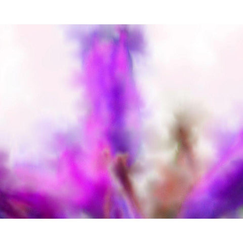 Blue Dicks W/C Bloom 1 Gold Ornate Wood Framed Art Print with Double Matting by Tenoever, William