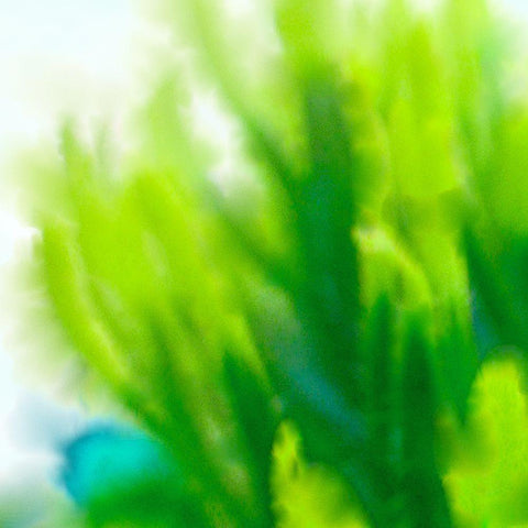 Green Flora 2 White Modern Wood Framed Art Print with Double Matting by Tenoever, William