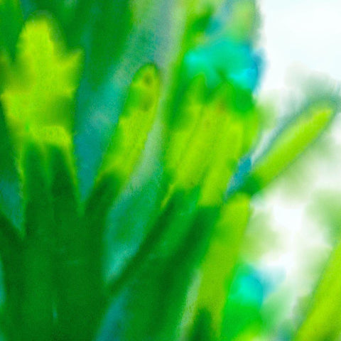 Green Flora 4 Black Modern Wood Framed Art Print by Tenoever, William