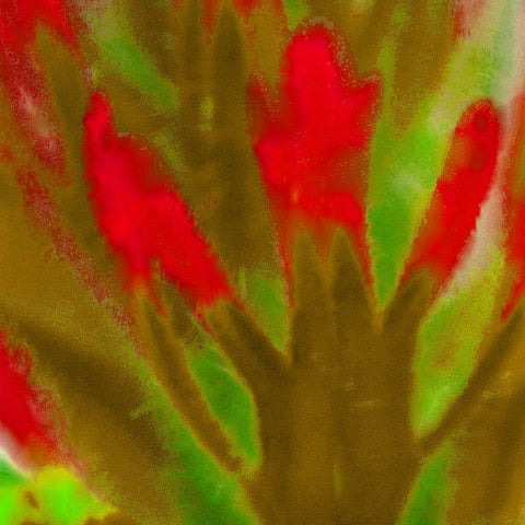 Flora in Red 2 White Modern Wood Framed Art Print with Double Matting by Tenoever, William