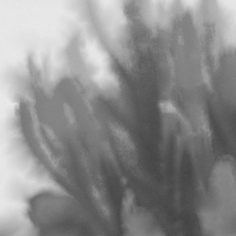 Grey Flora 1 Black Modern Wood Framed Art Print with Double Matting by Tenoever, William