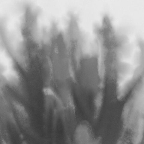 Grey Flora 3 Black Modern Wood Framed Art Print by Tenoever, William