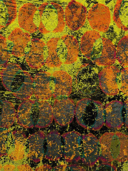 Image Only
