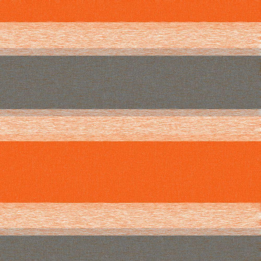 Image Only
